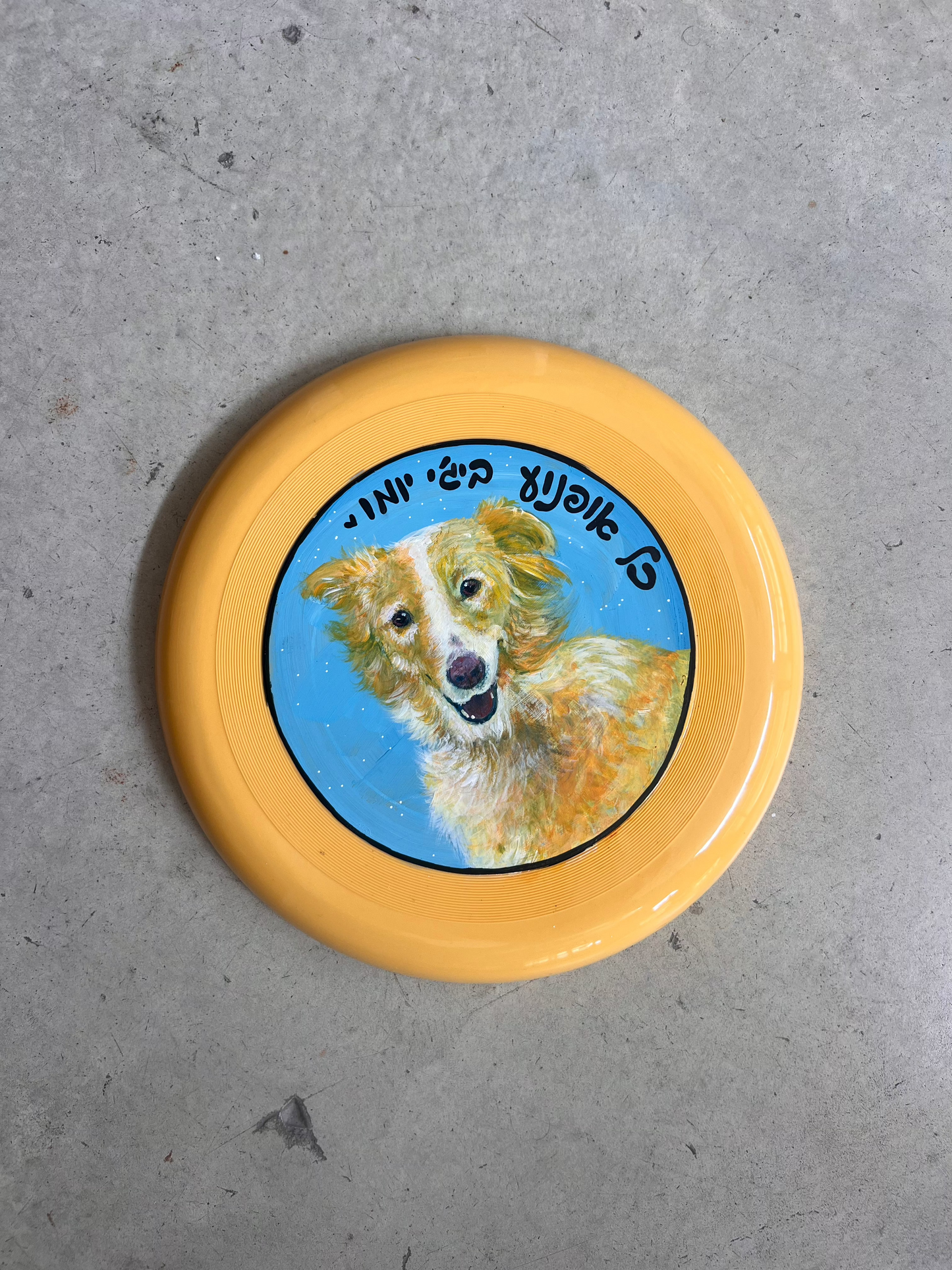 פריזבי בעיצוב אישי